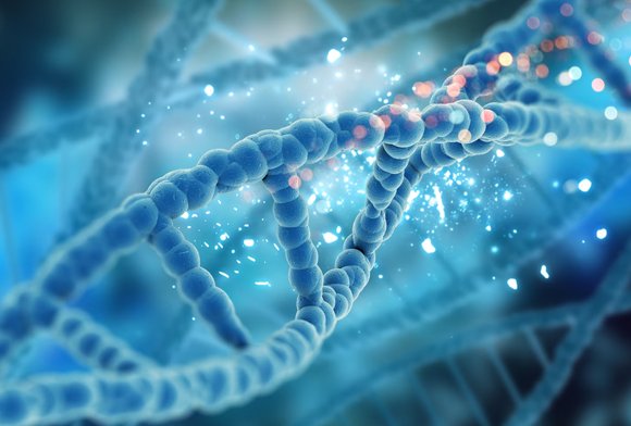 Laboratorio de Biología Molecular